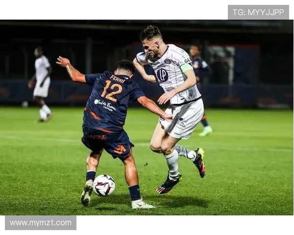 法甲外援表现分析：个体贡献与团队协作的双重视角评估