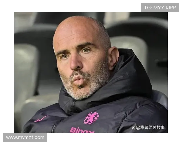 勒沃库森官方宣布签下红星17岁前锋达米亚诺维奇今夏加盟球队